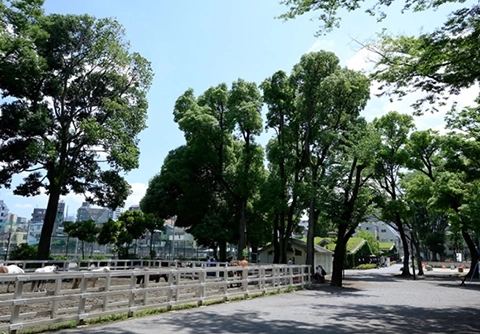 東板橋公園
