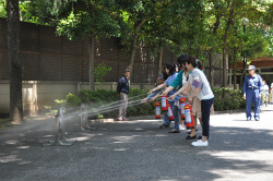 DSC_0712.jpg