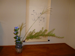 P1000412.jpg
