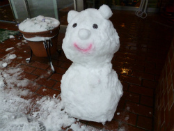 P1000763.jpg