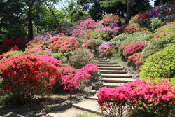 IMG_1032.JPGのサムネイル画像